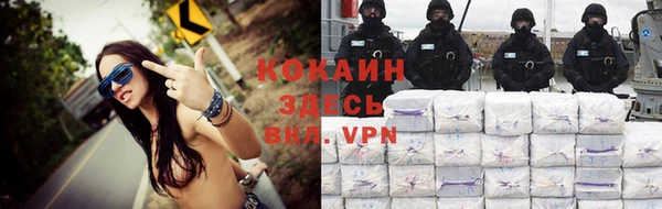 тгк Семёнов