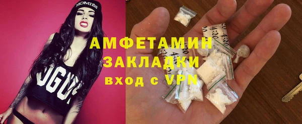 мет Алексин