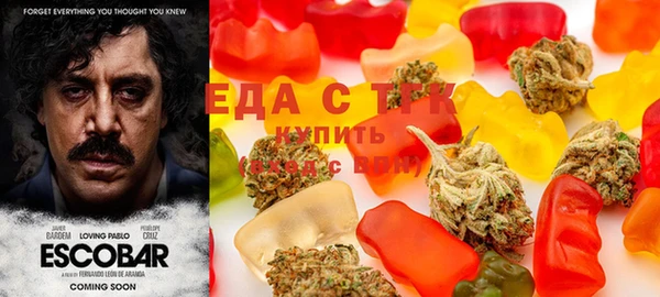 индика Алзамай