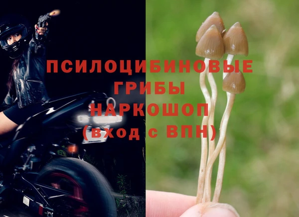 мет Алексин